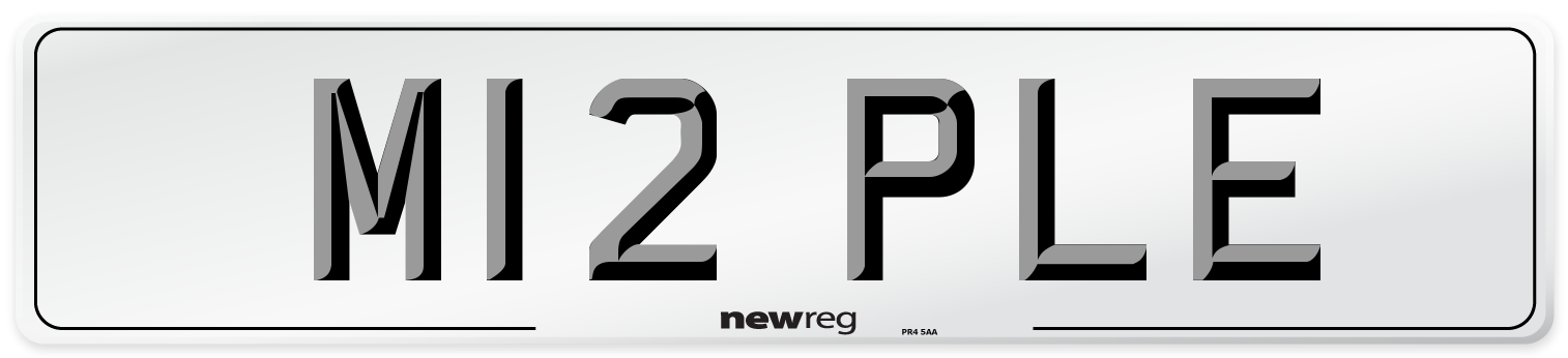 M12 PLE Number Plate from New Reg